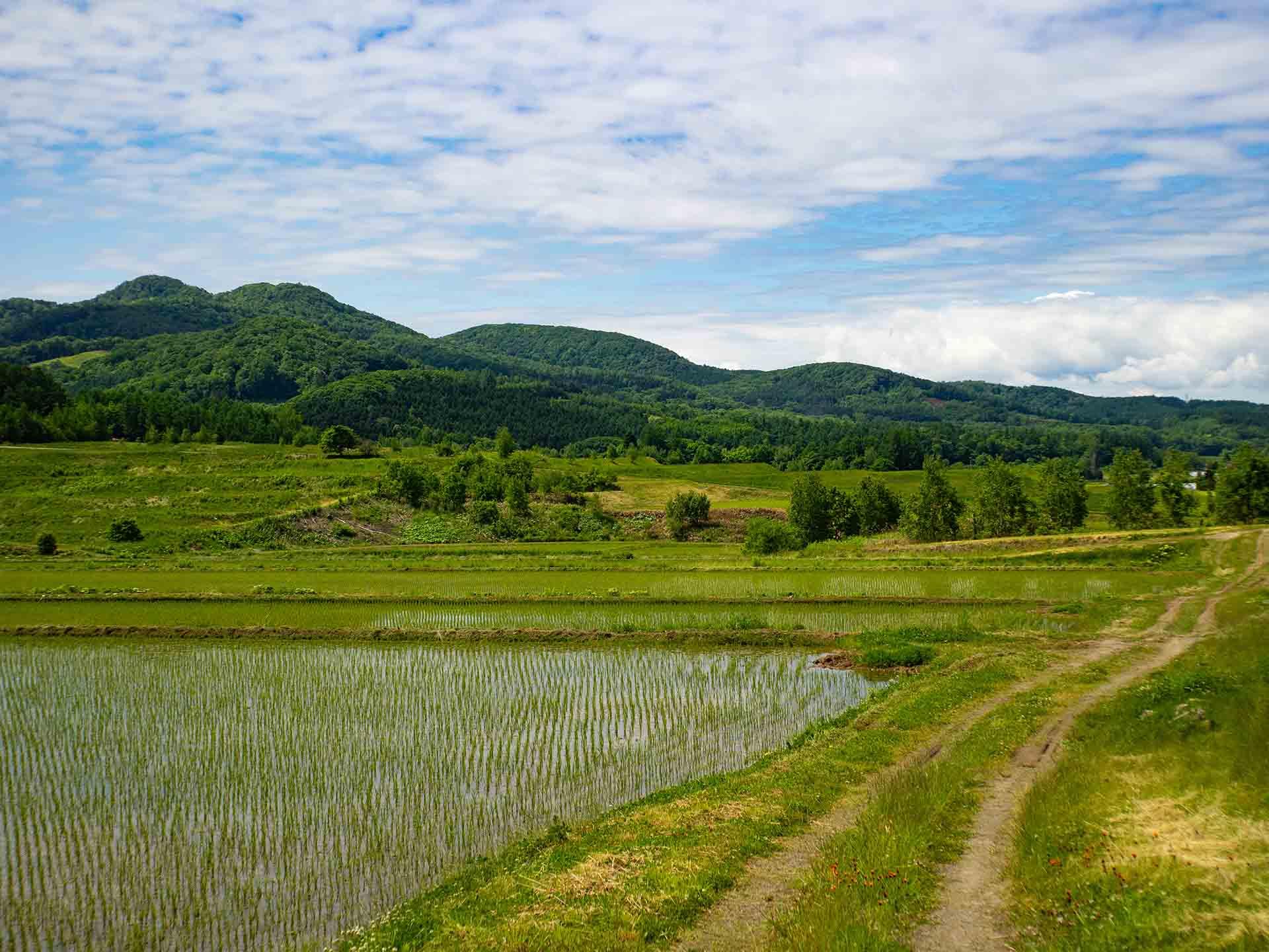 田園風景