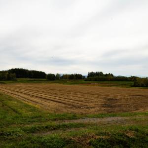 伊香牛農道の写真