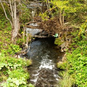緑郷5区当麻川の写真