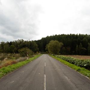 緑郷農道の写真
