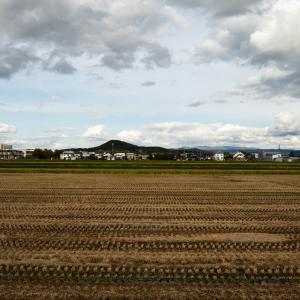市街地郊外田んぼの写真