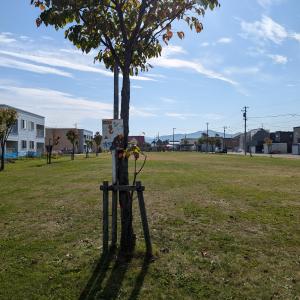 三条東公園付近の写真